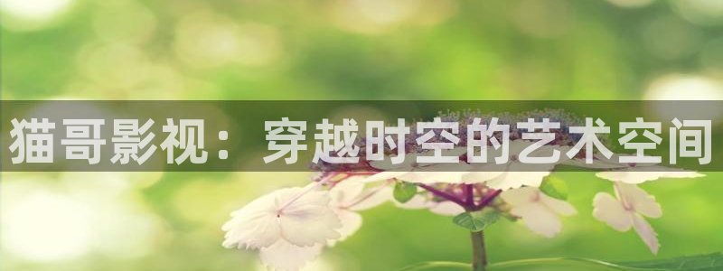 欧美影院不卡：猫哥影视：穿越时空的艺术空间