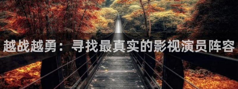 日韩在线不卡影院：越战越勇：寻找最真实的影视演员阵容