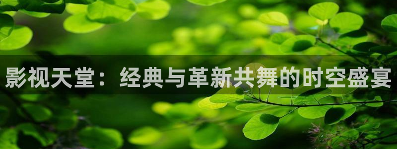真的不卡：影视天堂：经典与革新共舞的时空盛宴