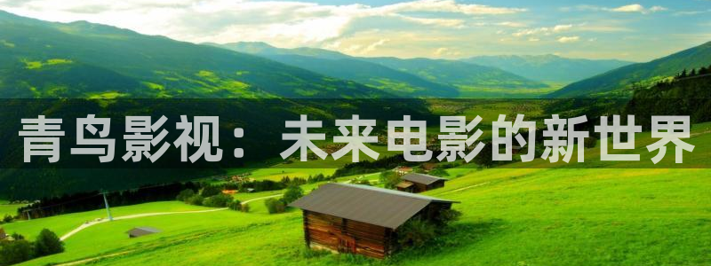 神马电影第九我不卡：青鸟影视：未来电影的新世界