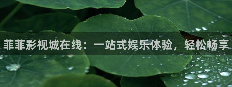 国产高清不卡一二三四区：菲菲影视城在线：一站式娱乐体验，轻松畅享