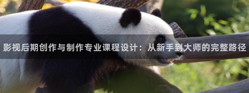 久久免费视频不卡：影视后期创作与制作专业课程设计：从新手到大师的完整路径