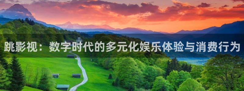 草民电影我不卡：跳影视：数字时代的多元化娱乐体验与消费行为