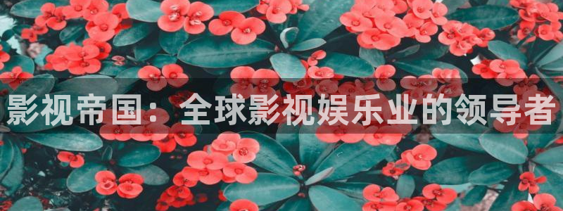 av不卡高清在线